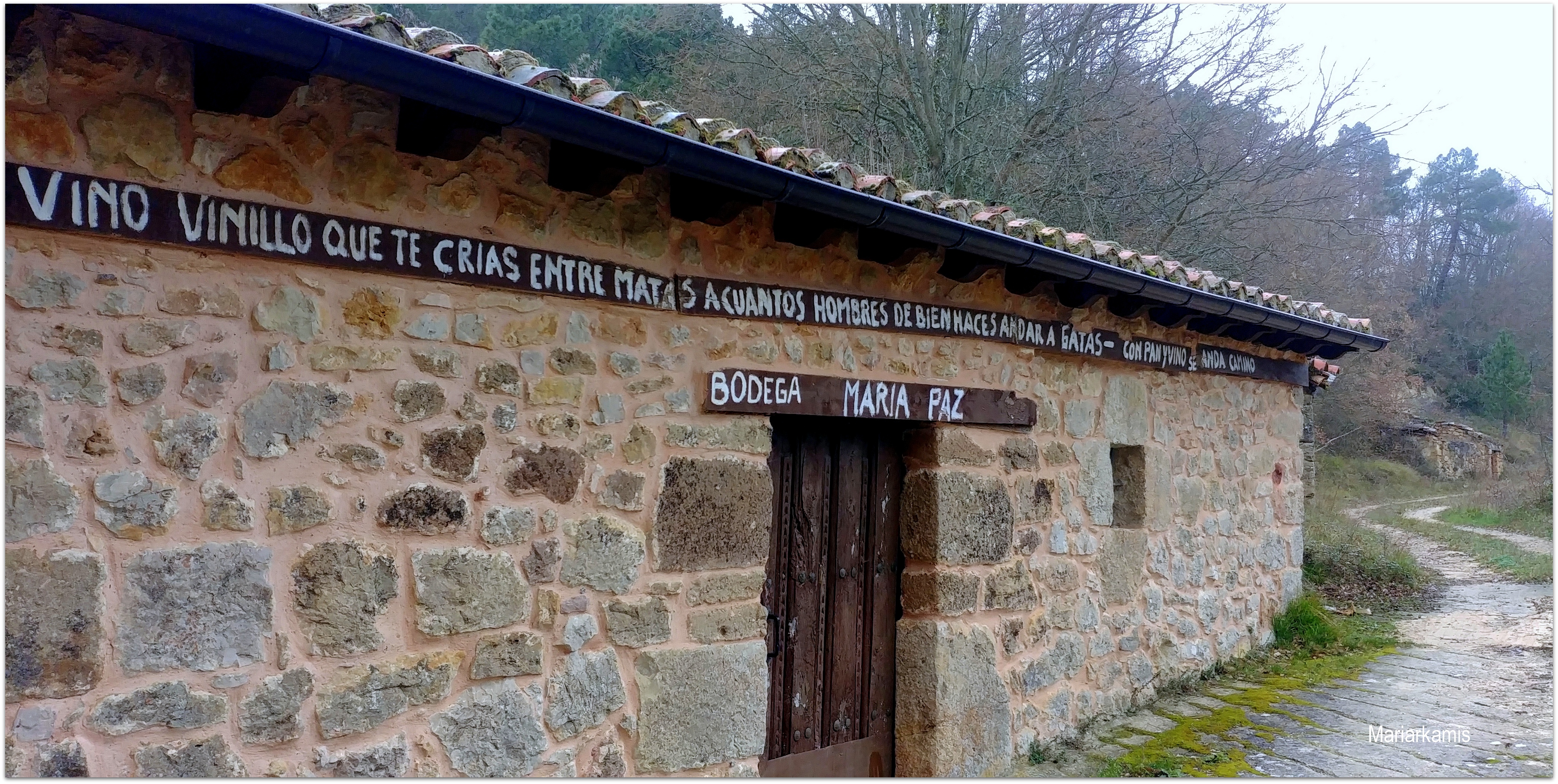 Una ruta entre los cerezos en flor de la provincia de Burgos